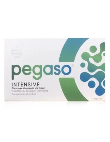 Pegaso Intensive 14 Cápsulas